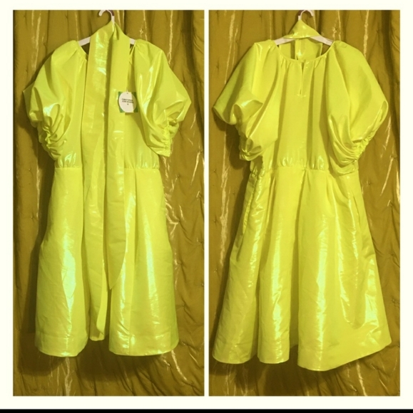 Christopher John Rodgers Iridescent Yellow Dress - Picture 14 of 16